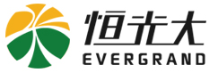 内蒙古恒光大药业股份有限公司
