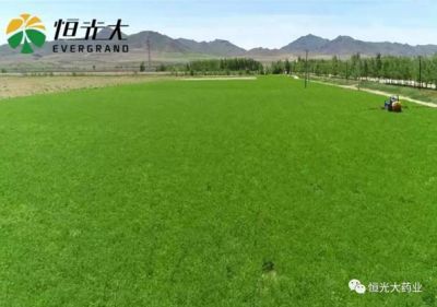 不忘初心，砥砺前行，我们一直在路上！