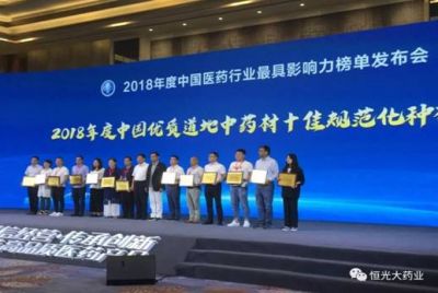 内蒙古恒光大药业股份有限公司在2018年度中国医药行业最具影...